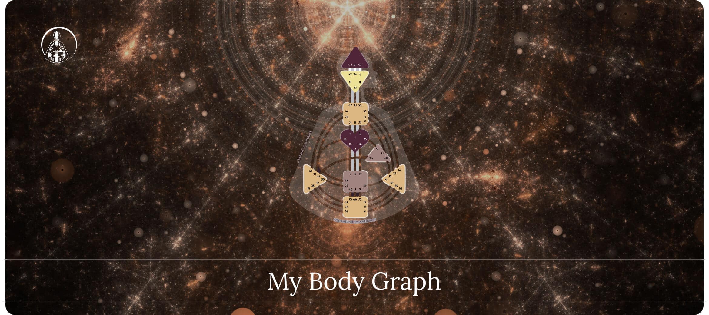 My Body Graph
