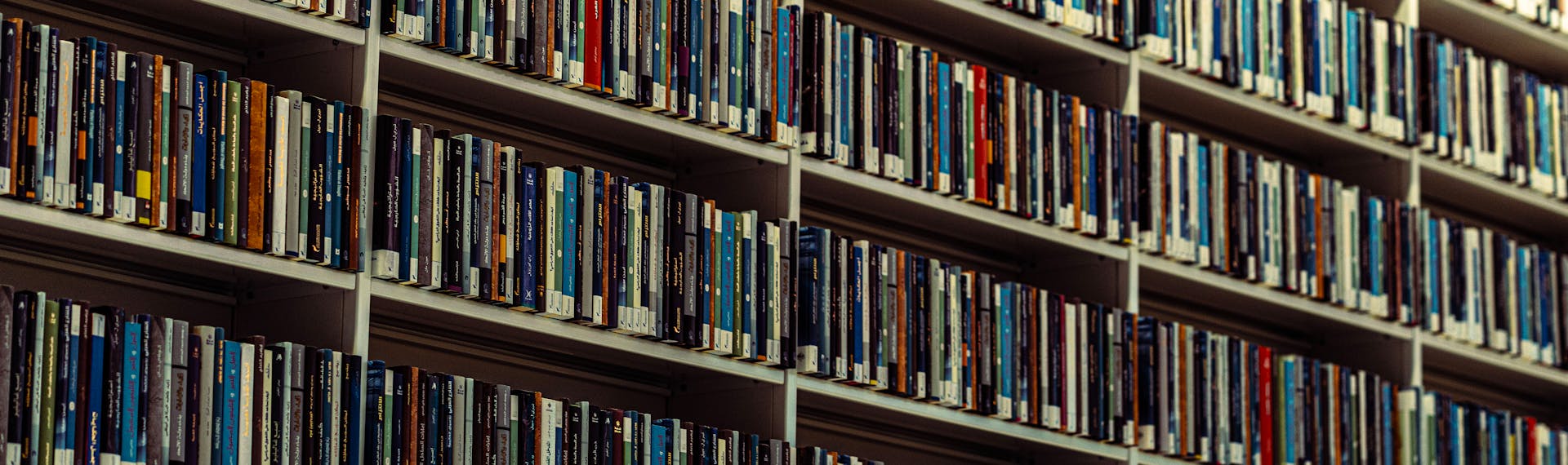 Human Design Gate 3 - Order