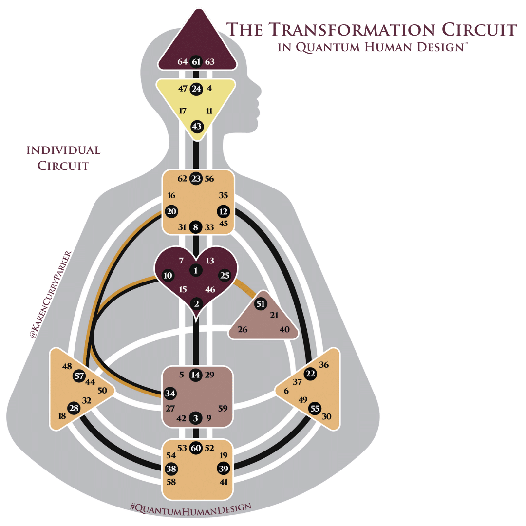 Individual - Transformation Circuit - Quantum Human Design