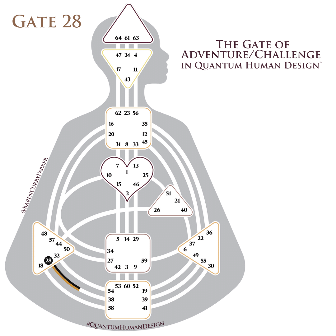 Gate 28 on the Human Design Chart