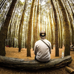 Waiting in Human Design - Man waiting in a forrest