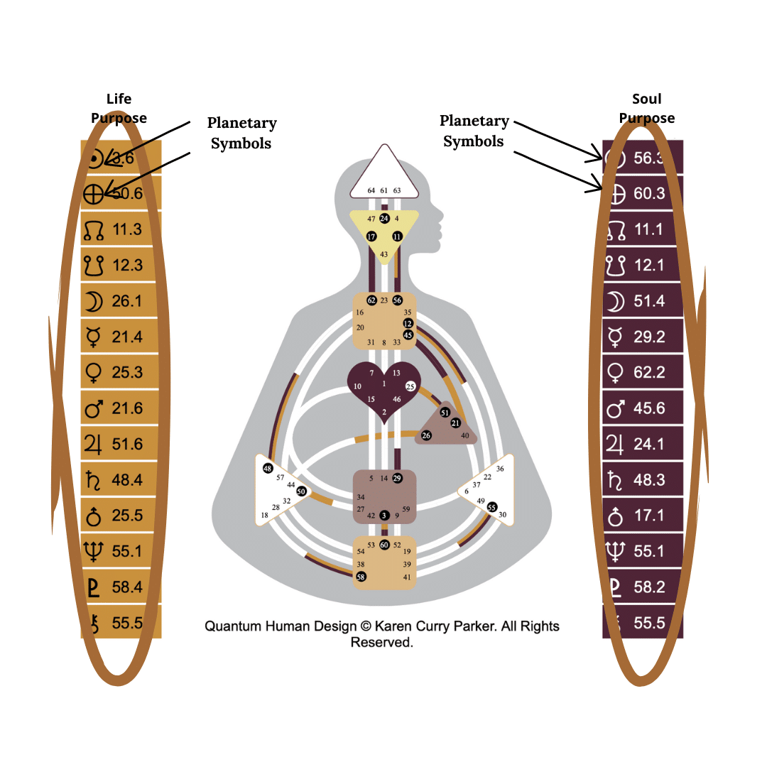 Human Design Planetary Symbols and Numbers on the Chart
