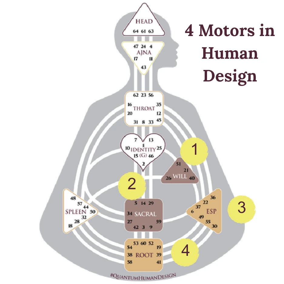4 Motors in Human Design