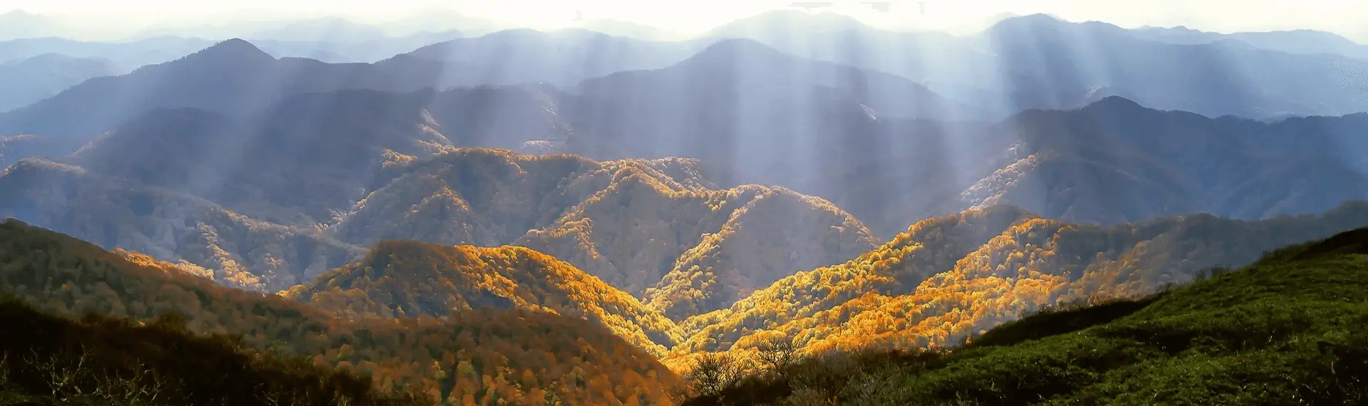 Mountains Environment in Human Design