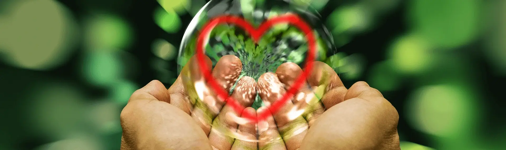 Right Angle Cross of Rulership in Human Design.