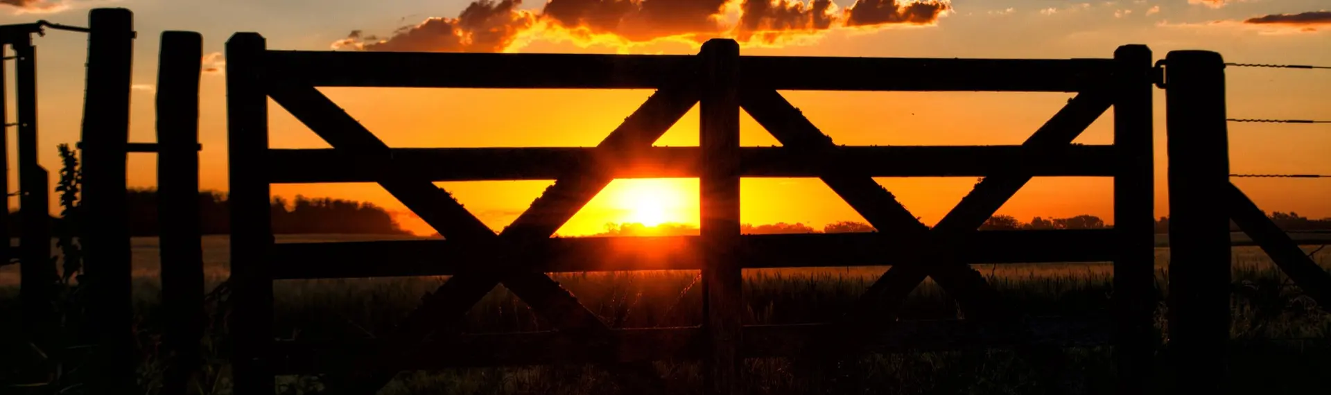 Human Design Gates - What They Mean For You