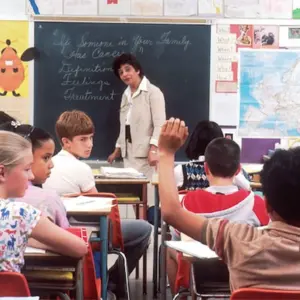 Human Design Gate 31 The Gate of Democracy - can make good teachers