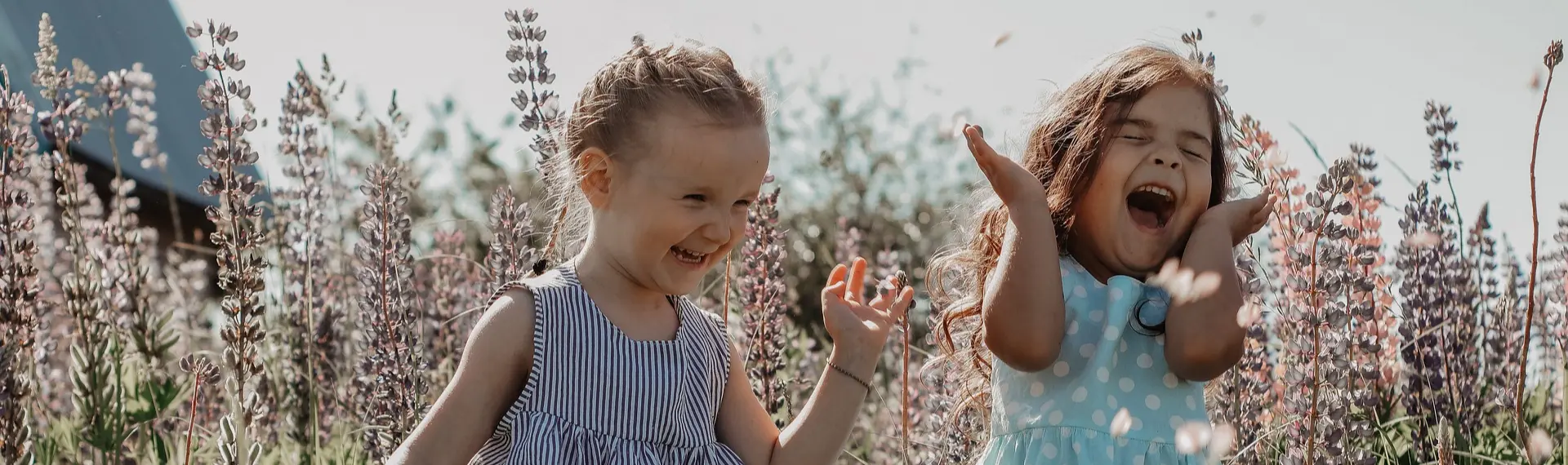 Human Design Gate 58 - The Gate of Joy