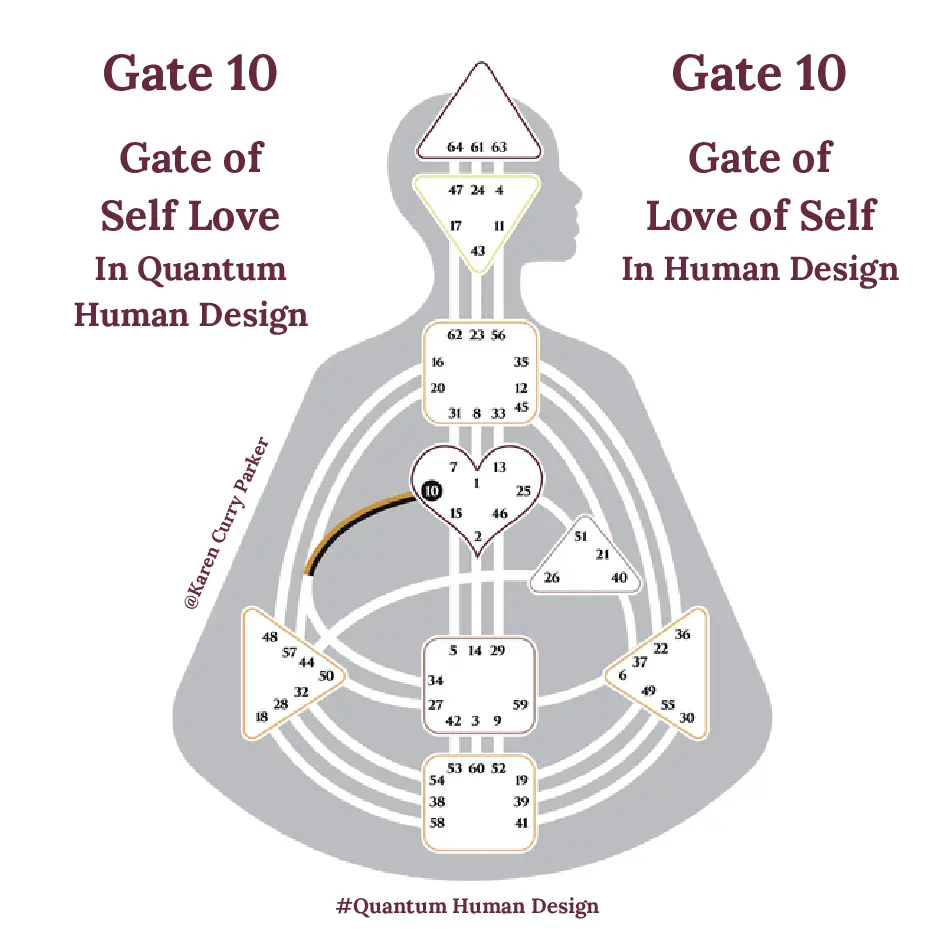 Human Design Gate 10 Explained