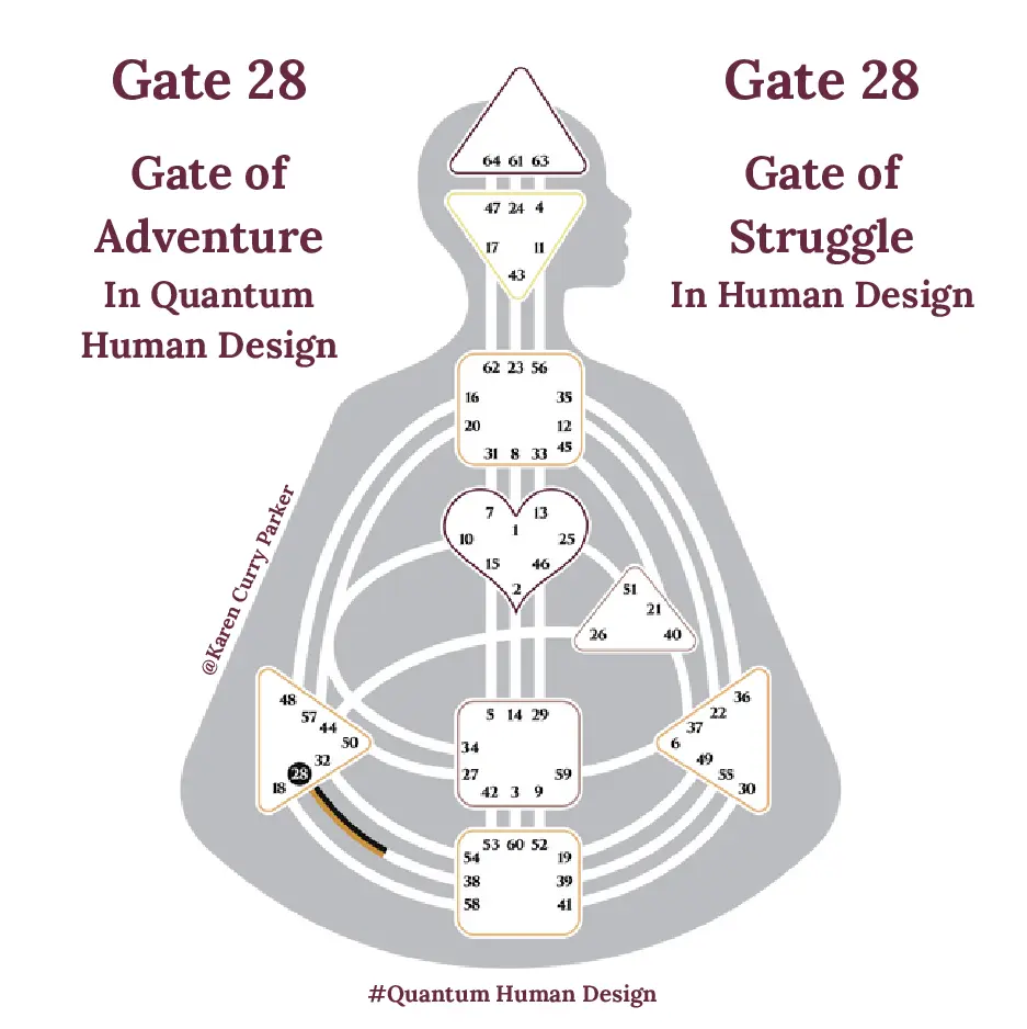 Human Design Gate 28 The Gate of Struggle