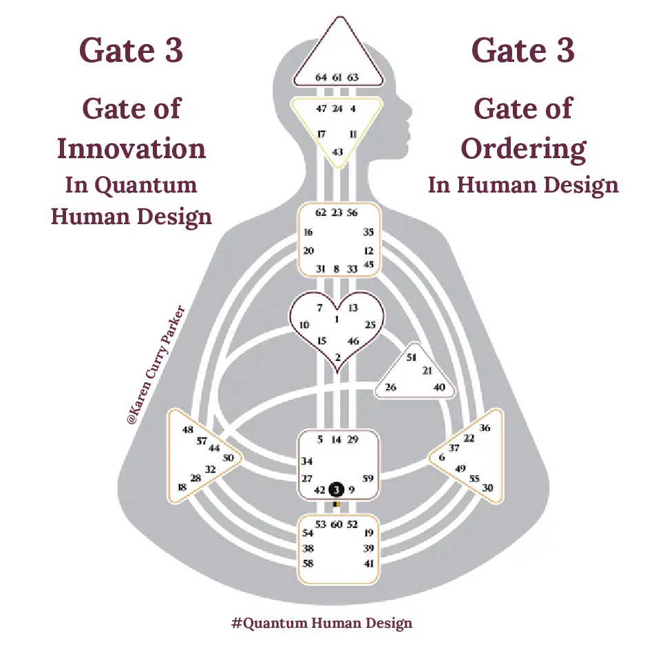 Human Design Gate 3