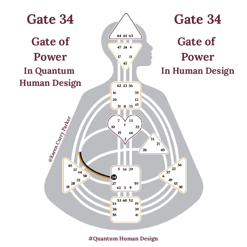 Human Design Gate 34 The Gate of Power