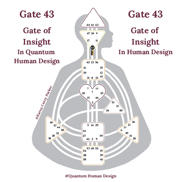 Human Design Gate 43 The Gate of Insight