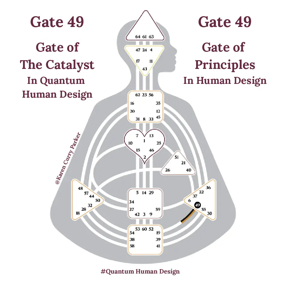 Human Design Gate 49 - The Gate of Principles