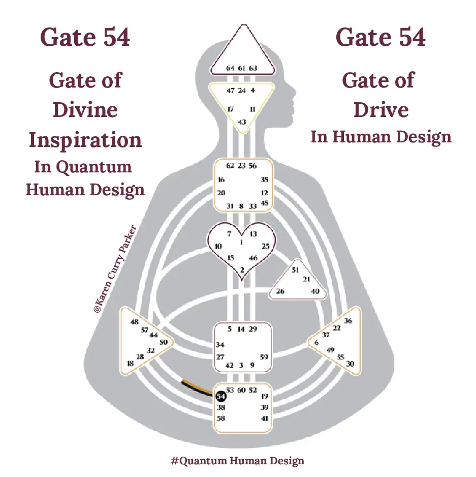 Human Design Gate 54 - The Gate of Drive