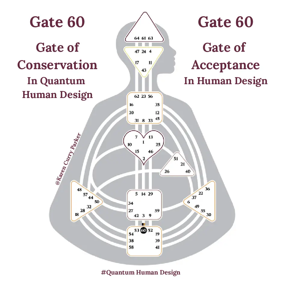 Human Design Gate 60 - The Gate of Acceptance