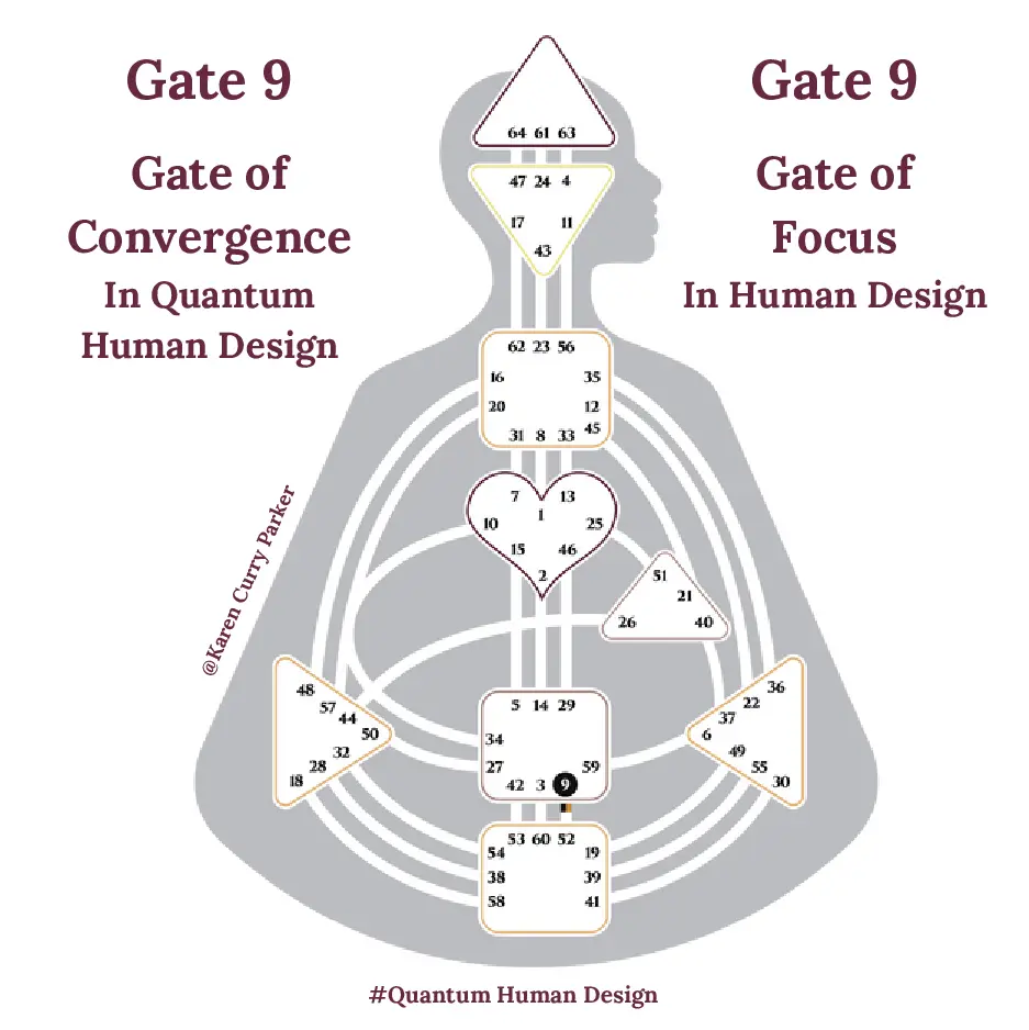 human Design Gate 9