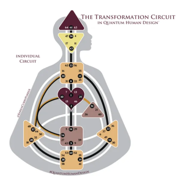 Individual Circuitry in Human Design