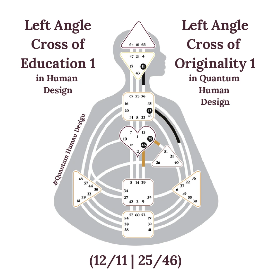Left Angle Cross of Education 1 in Human Design