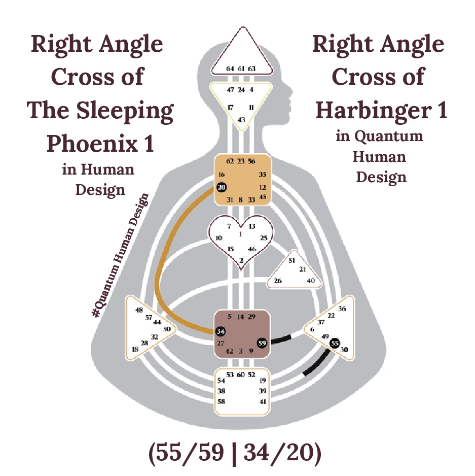 RAX Sleeping Phoenix