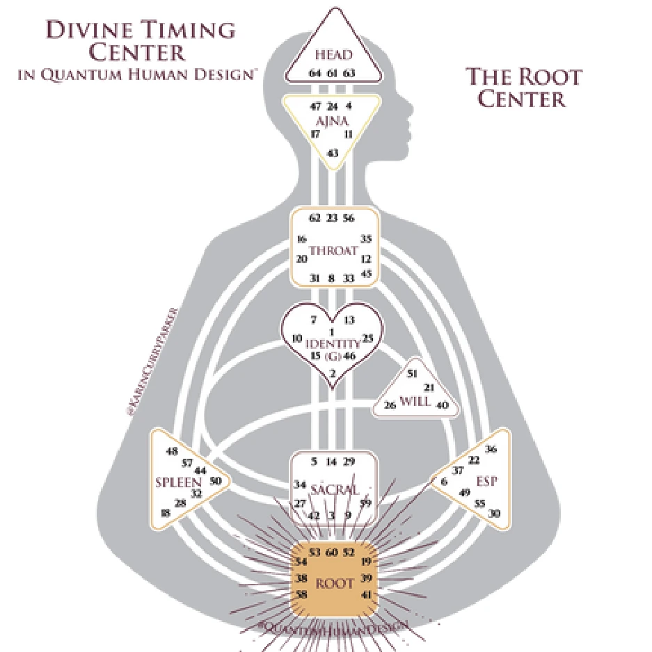 Root Center in Human Design