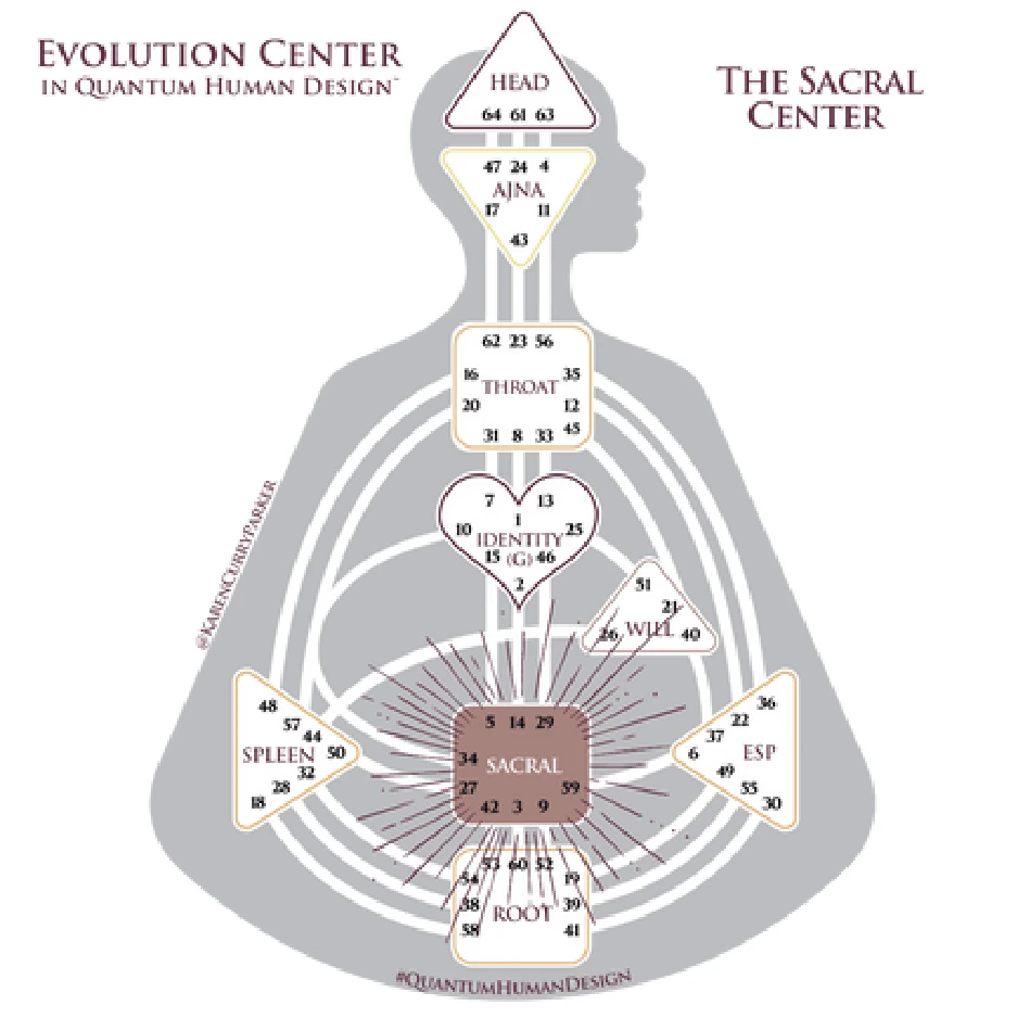 Defined Sacral Center in Human Design