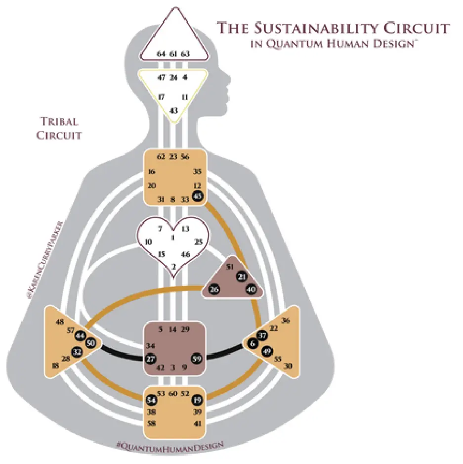 Tribal Circuit in Human Design
